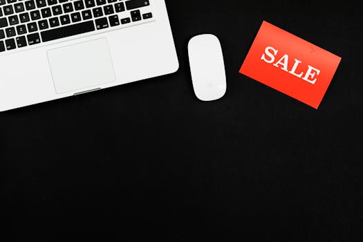Winning Bids & Bargains: Your Starter's Guide to Thriving in Online Auctions